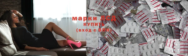PSILOCYBIN Вяземский