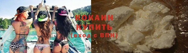 амф Верхний Тагил