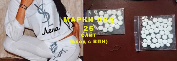 PSILOCYBIN Вяземский