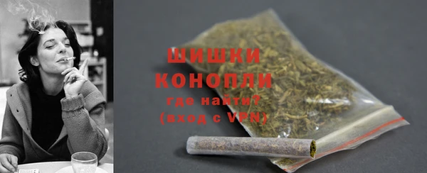 PSILOCYBIN Волосово