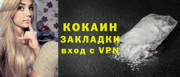 PSILOCYBIN Вяземский