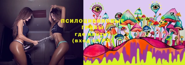 герыч Вязьма